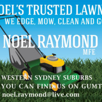 Noel Raymond