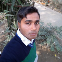 Program Singh