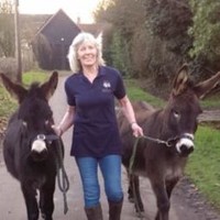 Sue Field
