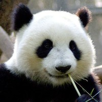 任启立