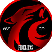 Fidelitas LLC