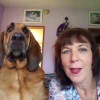 Sandy Schaefer