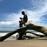 Vignesh Natchathiram
