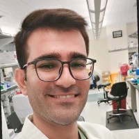 Ali Hosseini Rad S.M.