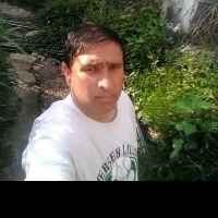Hamid Shiekh