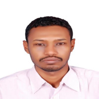 Mohammed A.Elamein