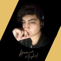 Hamna Mughal