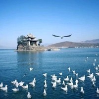 贾文国