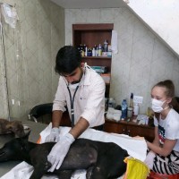 Dr Vikram