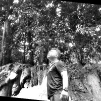 Hery Mulyono
