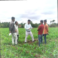 Rahul Yadav