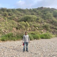 Waqar Rajput
