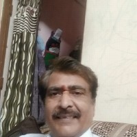 Cheeta Mp