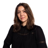 Berlesu Kerimoglu