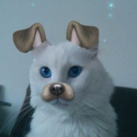 Tuna Eskan Aytaç
