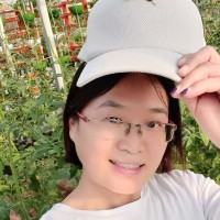 陈晓芳