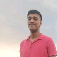 Hitesh J.