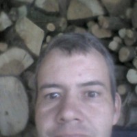 Wim Bollen