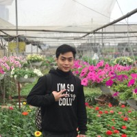 Quốc Tưởng Đăng Vương