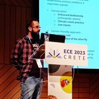 Giorgos Stavrianakis