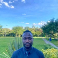 Michael Adedayo
