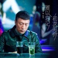付大鹏