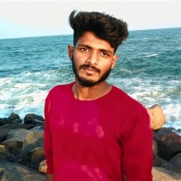 Dhilip K