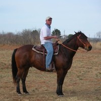 Brad long