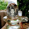 Vishali Swaminathan