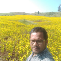 Ankur Welder