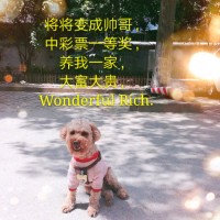 祝佳莹