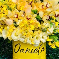 Daniela Castello Branco