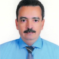 Ayman Sayedahmed