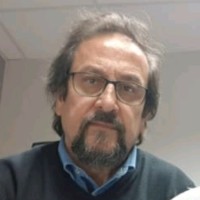 Julio Luzán Fernández