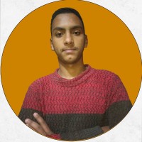 محمد احمد المزين