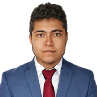 Mario Alberto Borrego Cruz