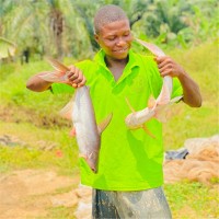Ojo Samuel