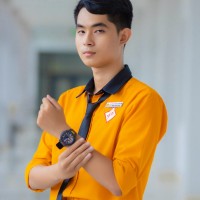 Phạm Anh Minh