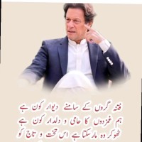 Gul e Afroz