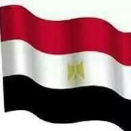 الدكتور خليل فايد مصر