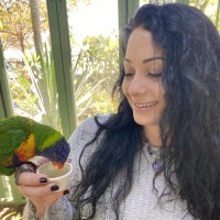 Cassandra Falco