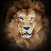Lions Digital