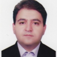 Mehdi Mesgarnia