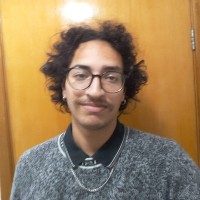 Pedro Nichollas Navarro Dos Santos