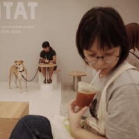 卞逾越