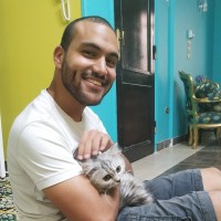 Bassem Elsawah