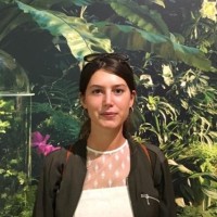 Veda Moneta