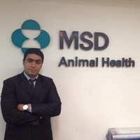 Khaled Refaat