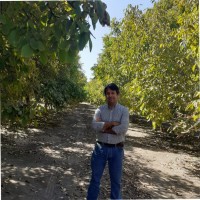 Anselmo Alfaro