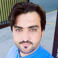 Sharin Habib